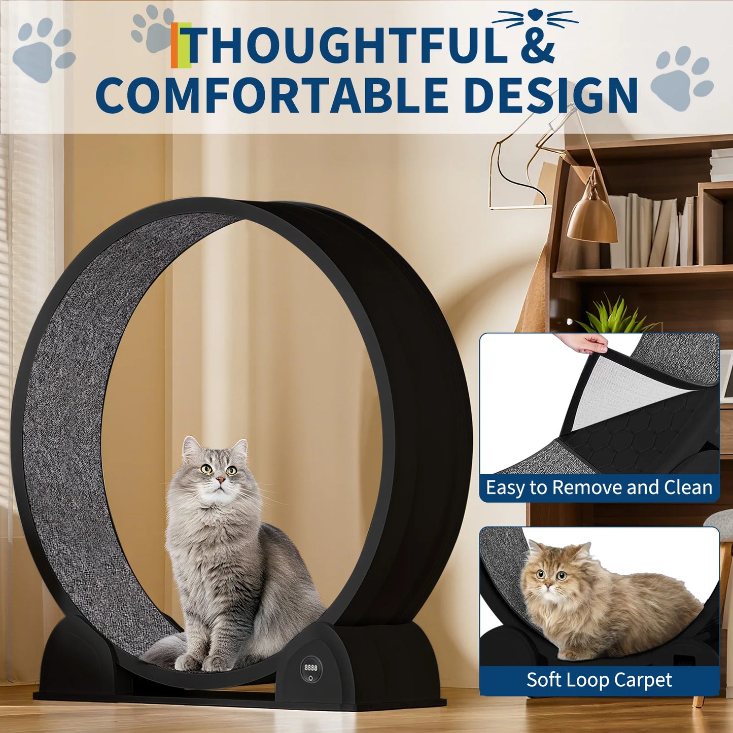Cat Exercise Wheel