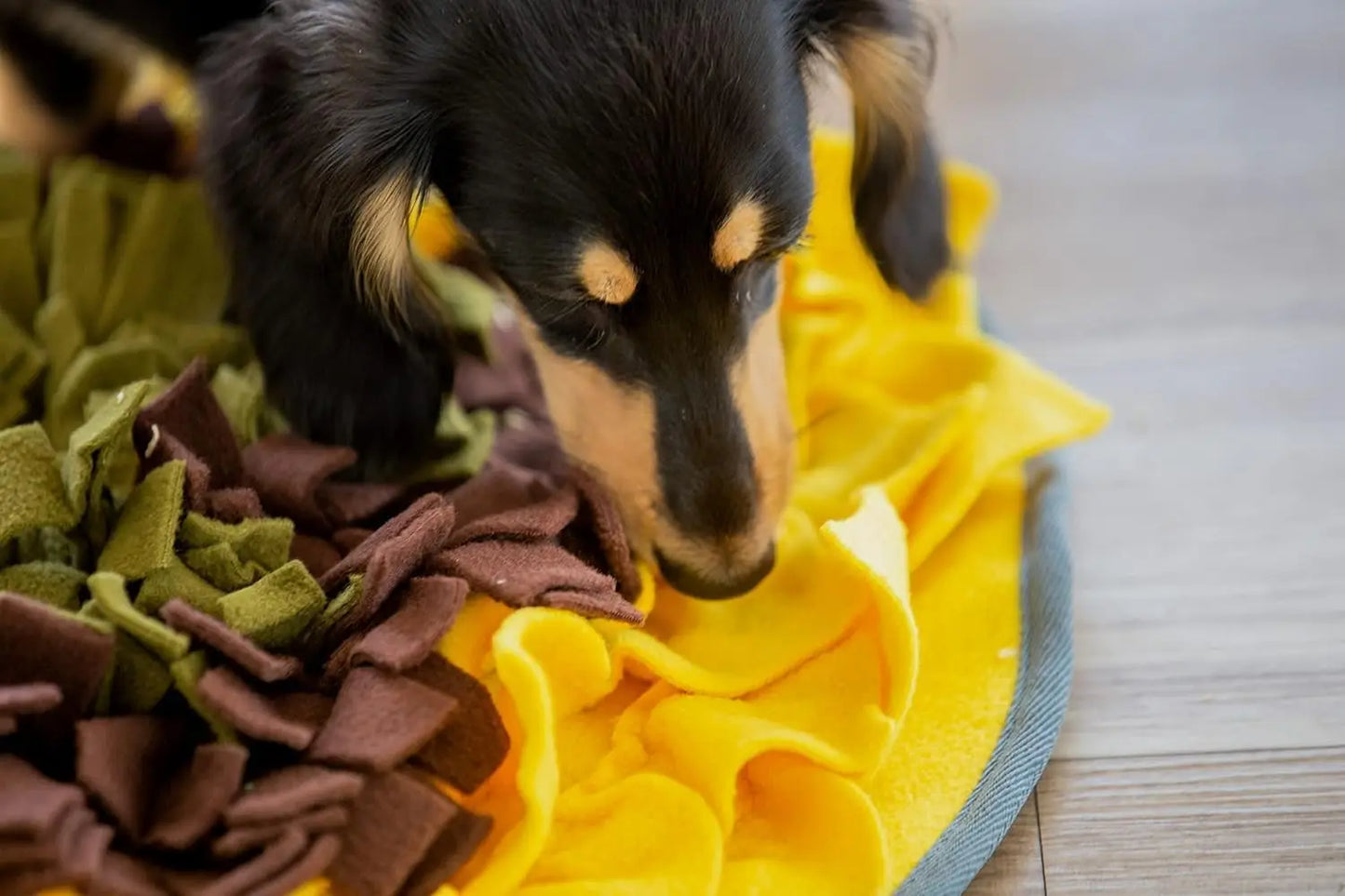Snuffle Mat for Dogs