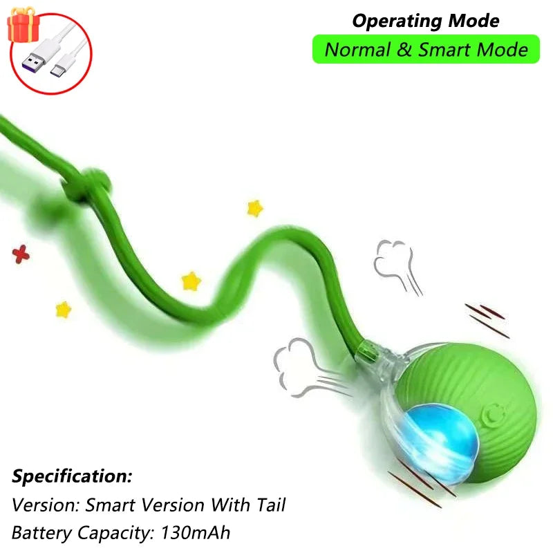 Indoor Interactive Birds Toy