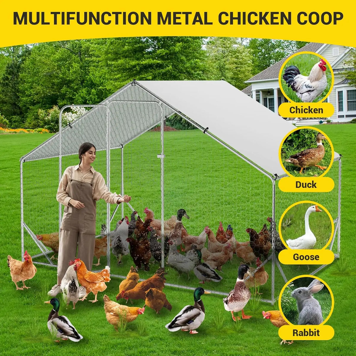 Metal Large Chicken Coop