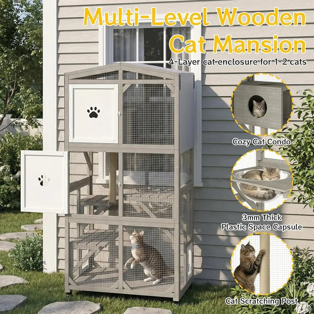 Outdoor Cat Enclosure