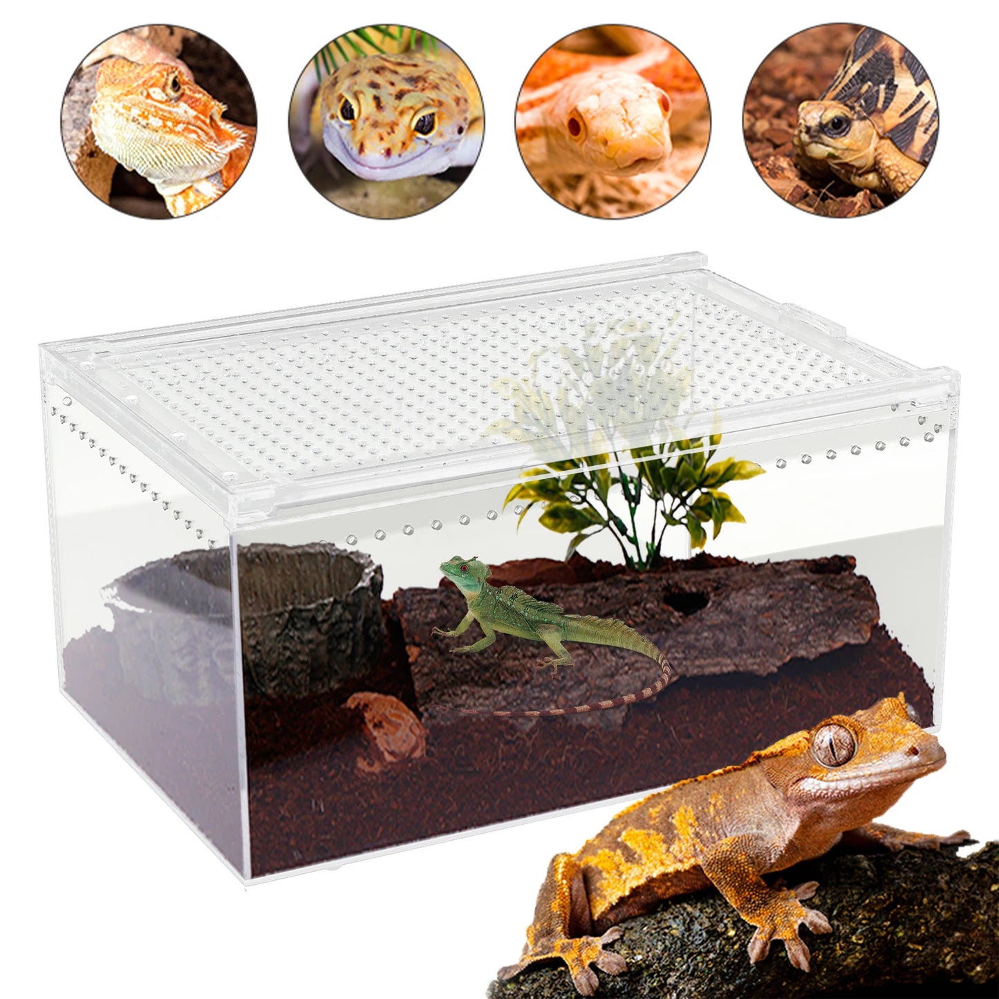 Reptile Pet Breeding Cage 30*20*15cm