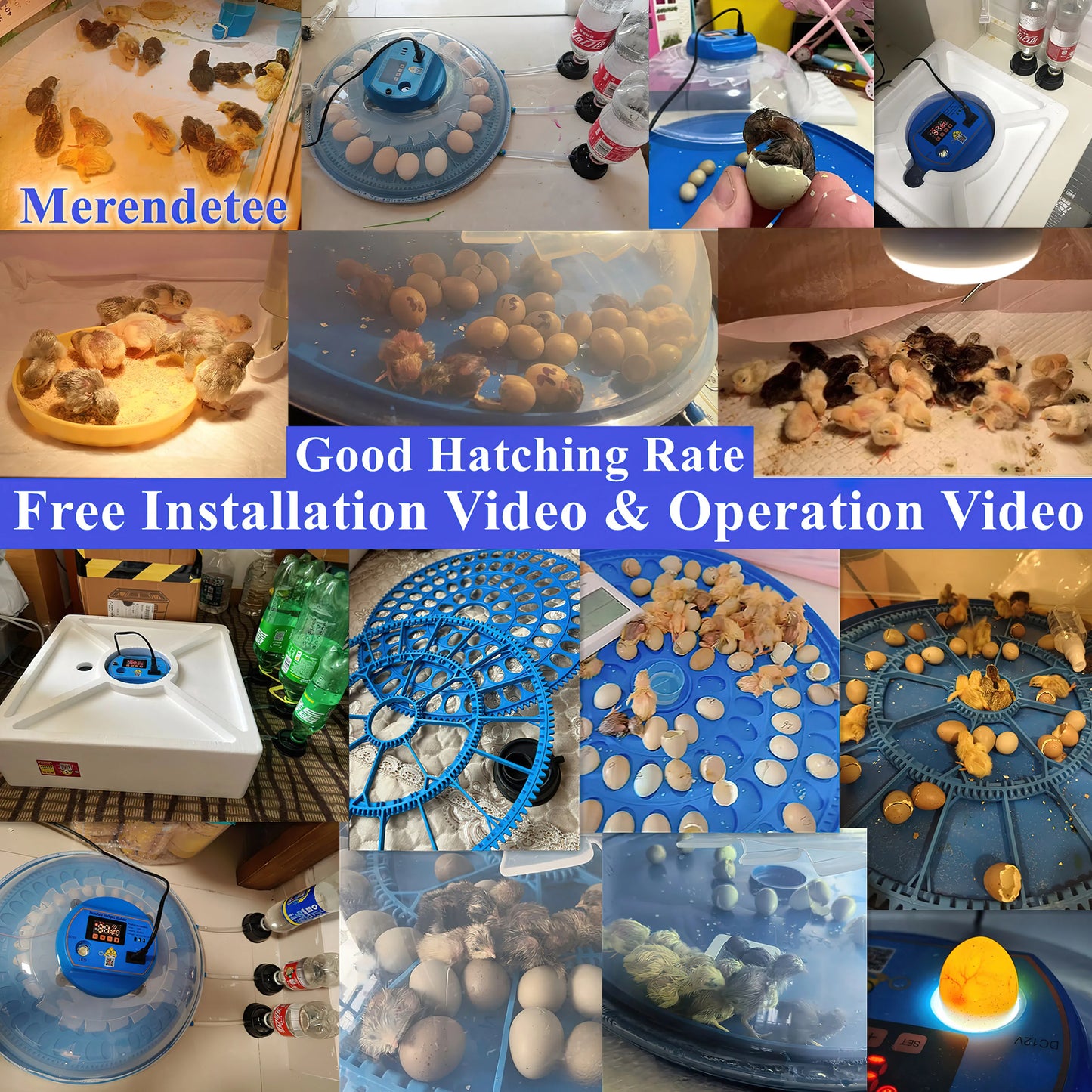 Egg Automatic Incubator
