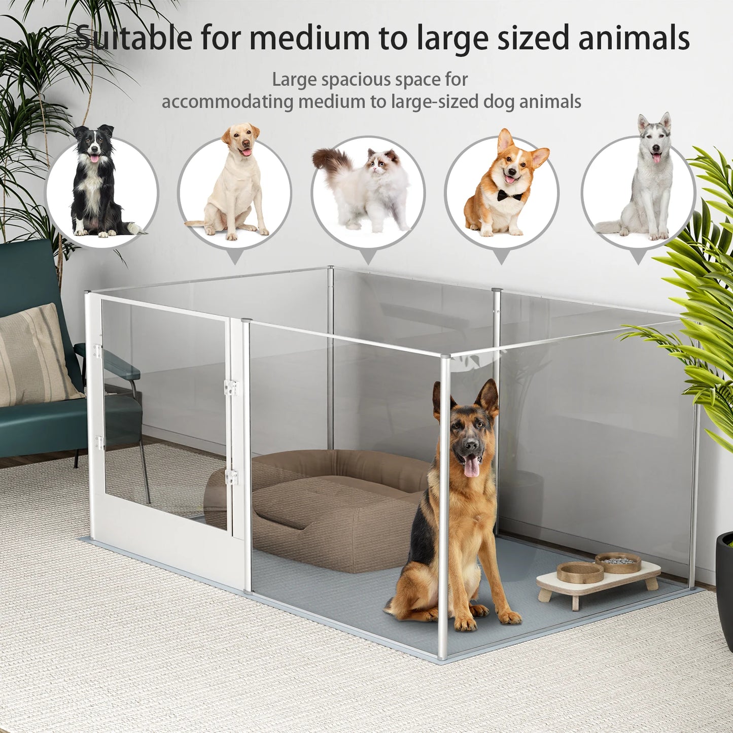 Large Acrylic Dog Playpen