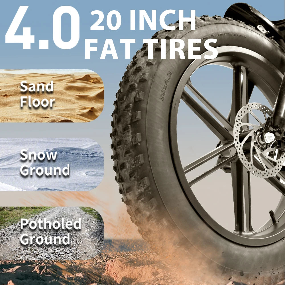Off-Road Electric Bike