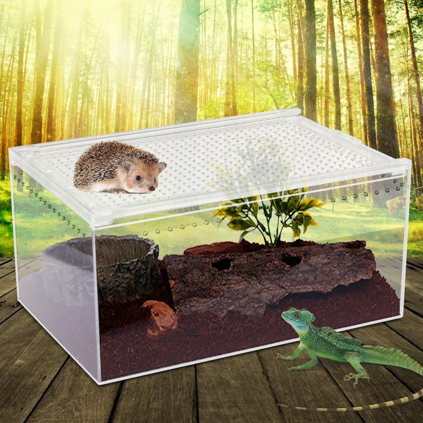 Reptile Pet Breeding Cage 30*20*15cm