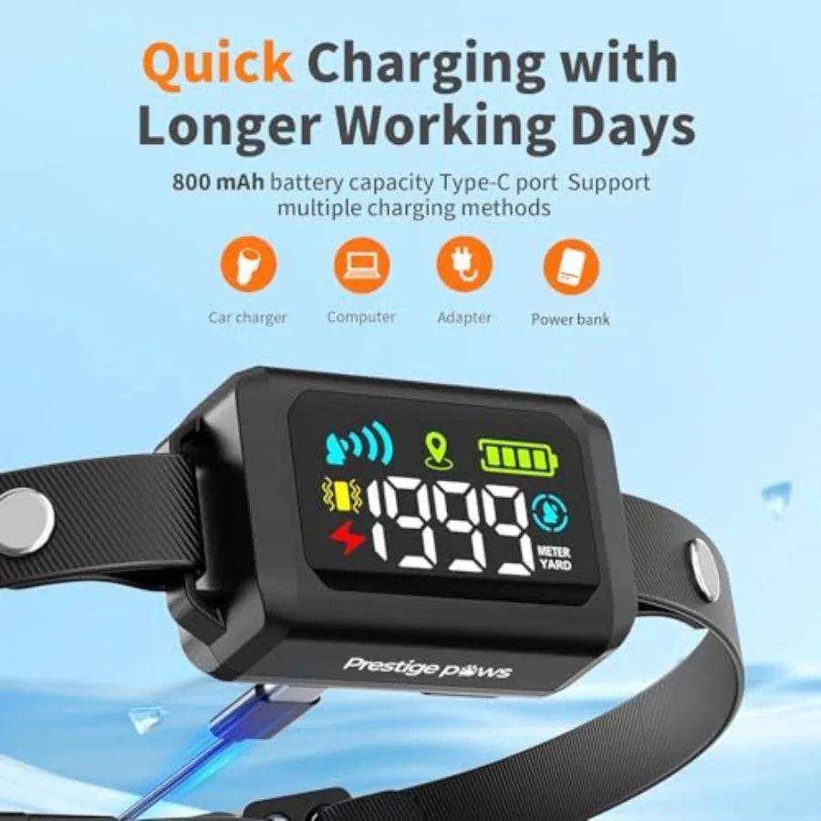 GPS Wireless Dog Fence