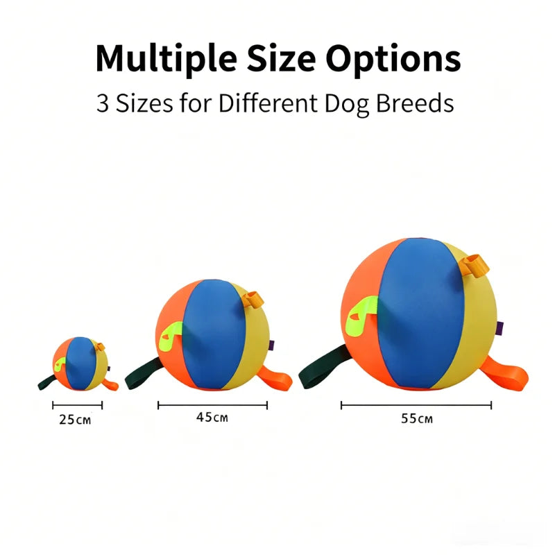 Dog Herding Ball