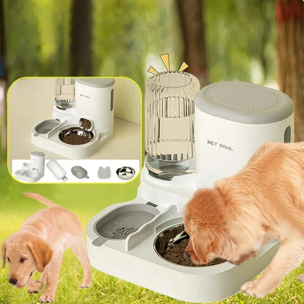 Pet Feeder and Water Dispenser