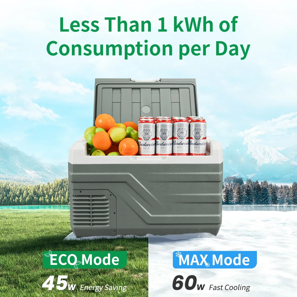 Car Refrigerator 12V