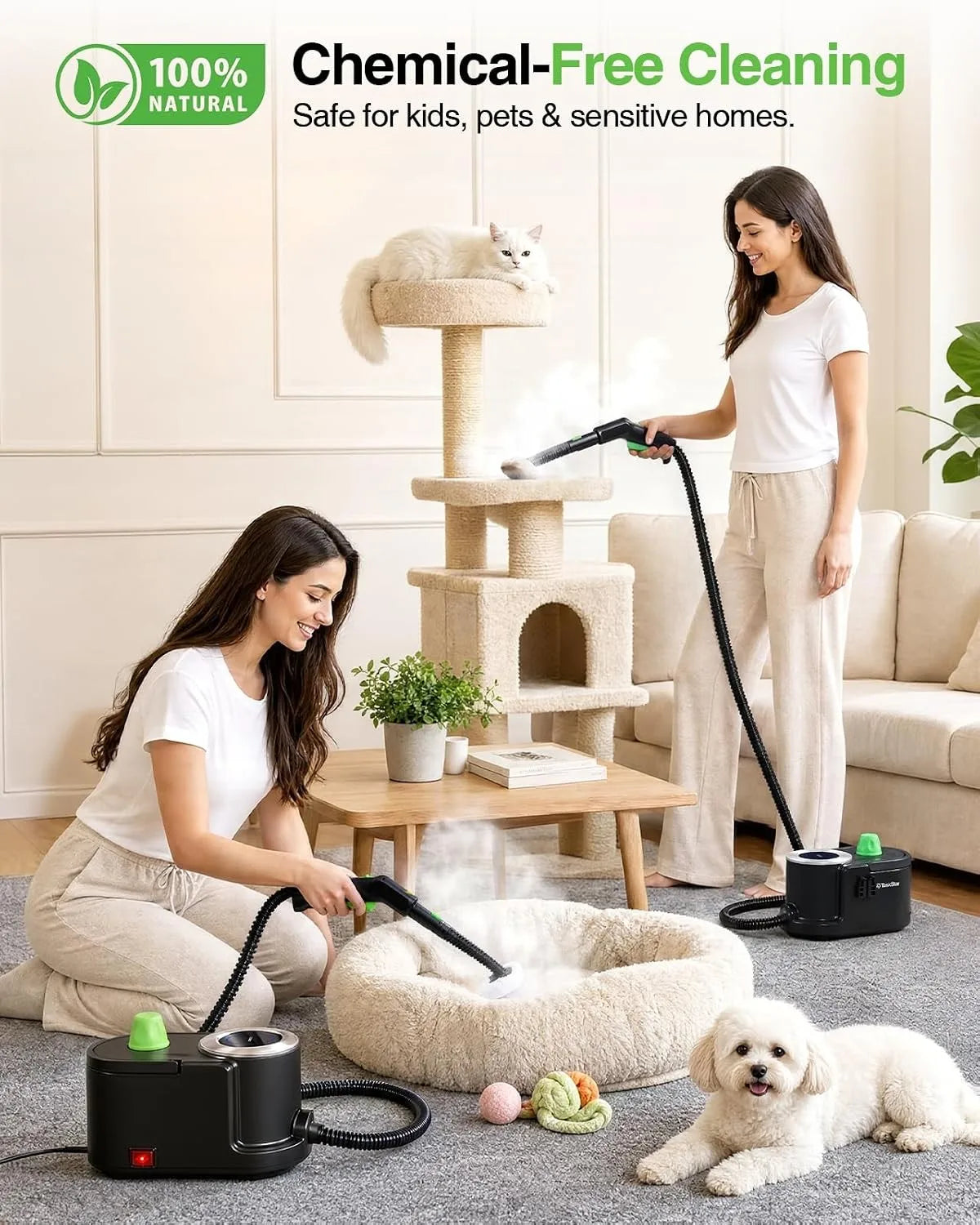 Steam Cleaner High Pressure