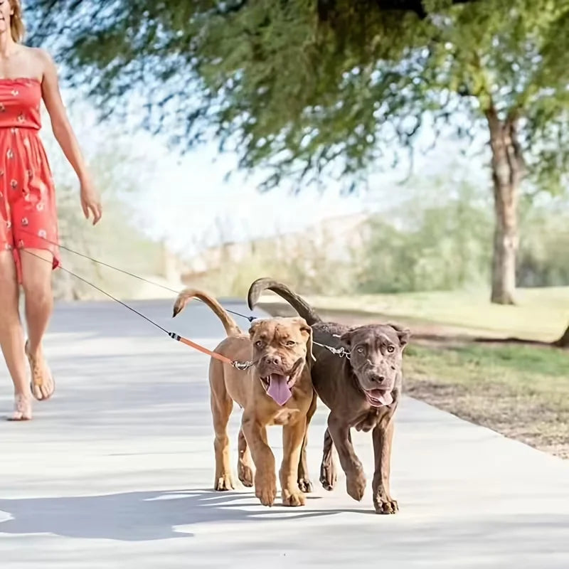 Self-Retracting Pet Leash with Dual Heads