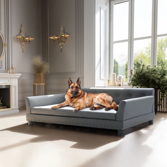 Durable Elevated Dog Sofa