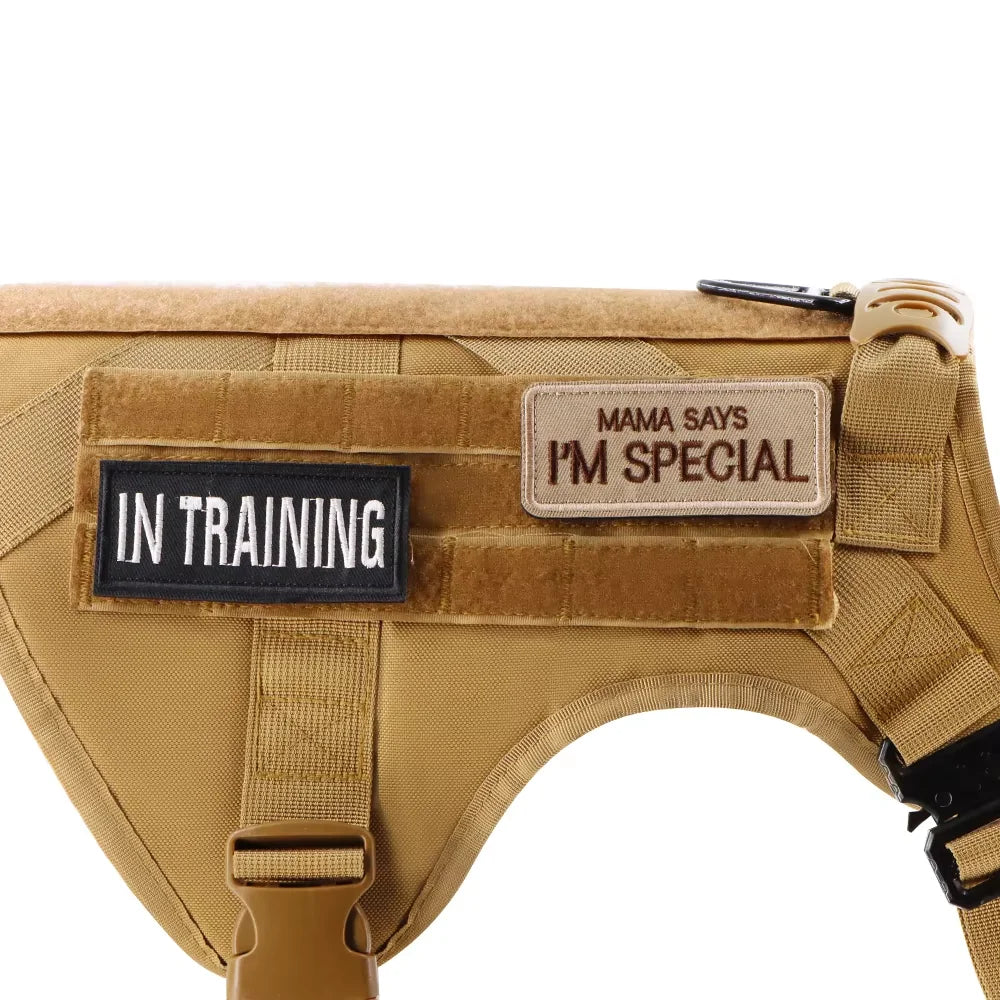 Patch Bundle For Dog Vest