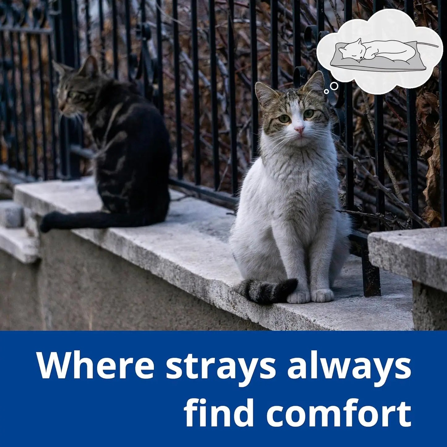 Outdoor  Pet Heating Pad with Steel-Wrapped Cord