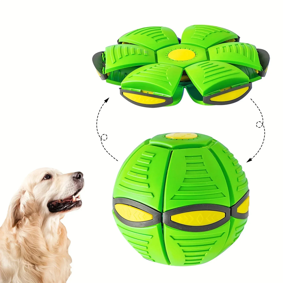 Bouncing Ball Dog Toy