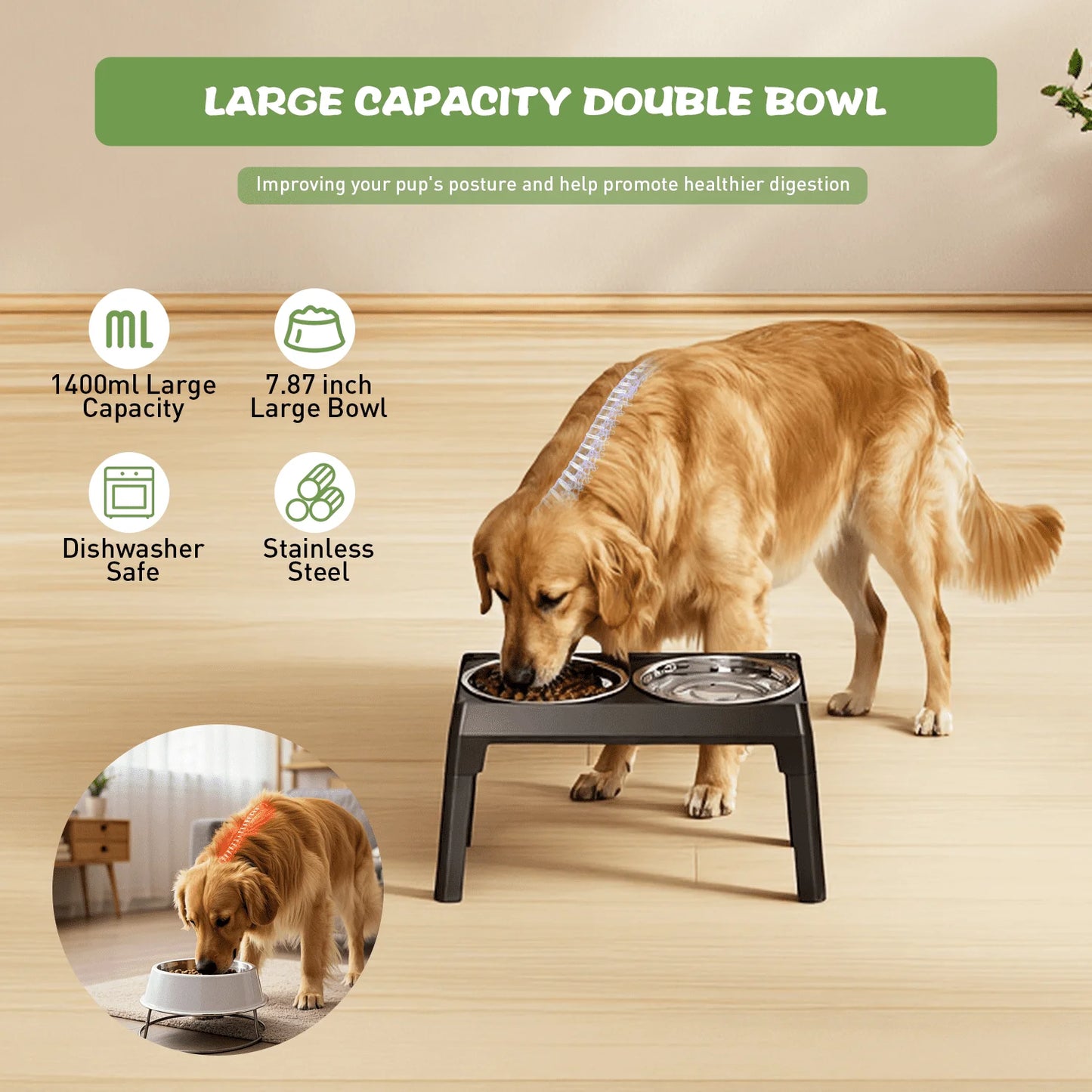 5 Heights Adjustable Dog Food Bowl