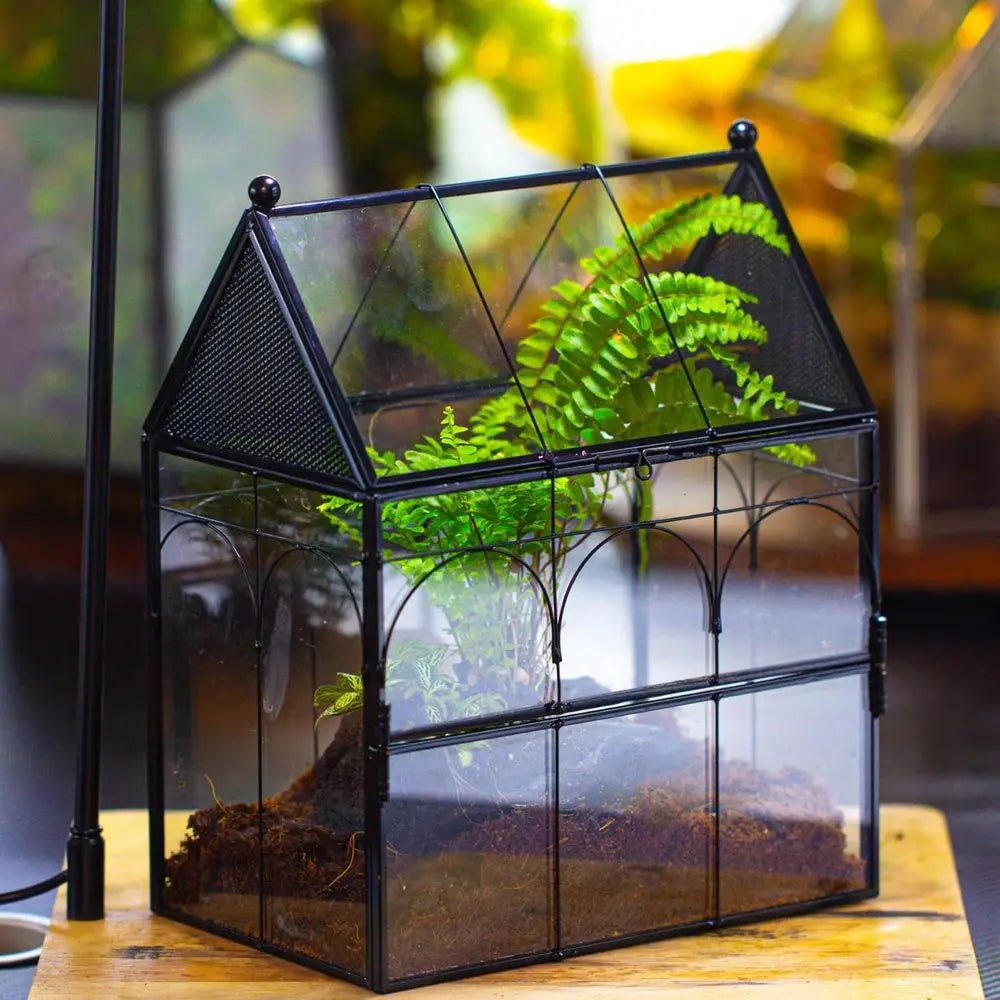 Glass Terrarium Enclosure