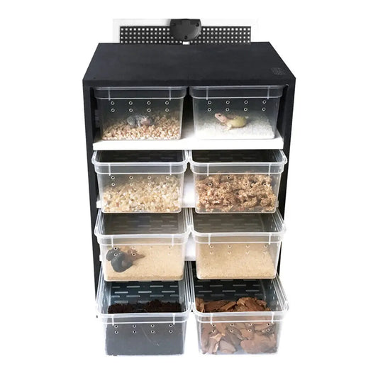 Reptile Breeding Tank