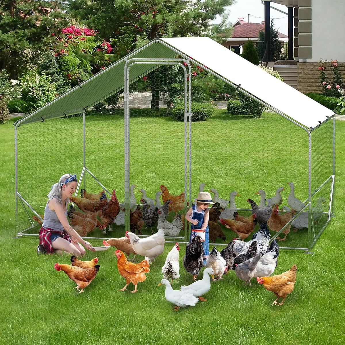 Metal Large Chicken Coop