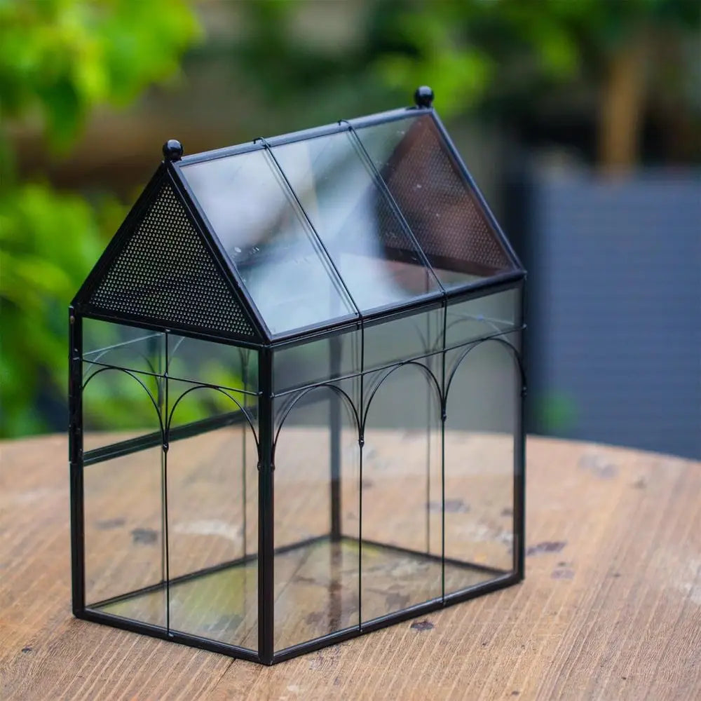 Glass Terrarium Enclosure