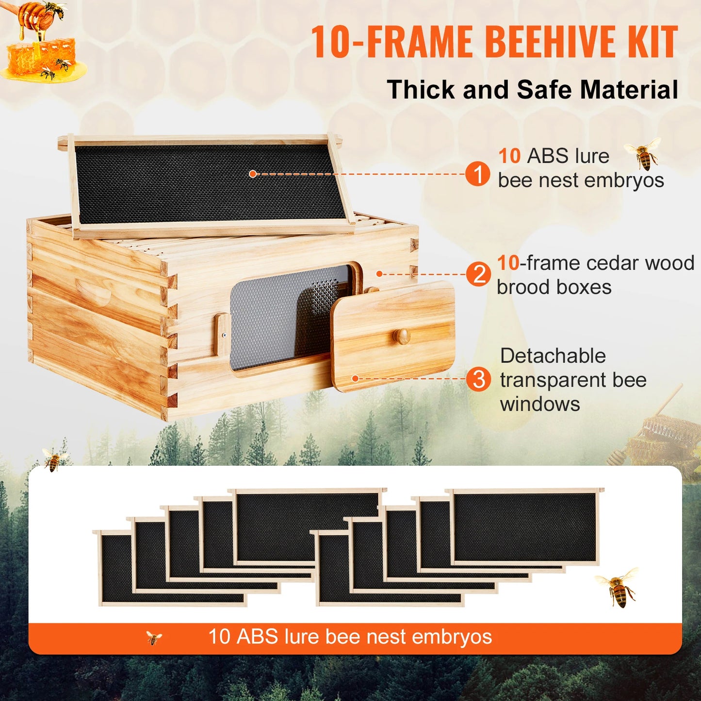 Starter Bee Hive