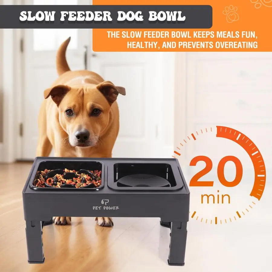 Dog Bowl Stand with 4 Adjustable Height, Slow Feeder