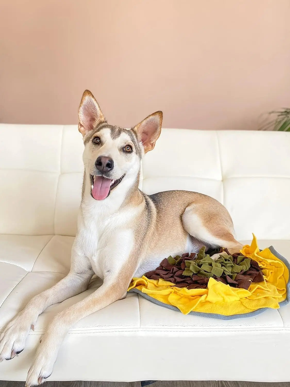 Snuffle Mat for Dogs