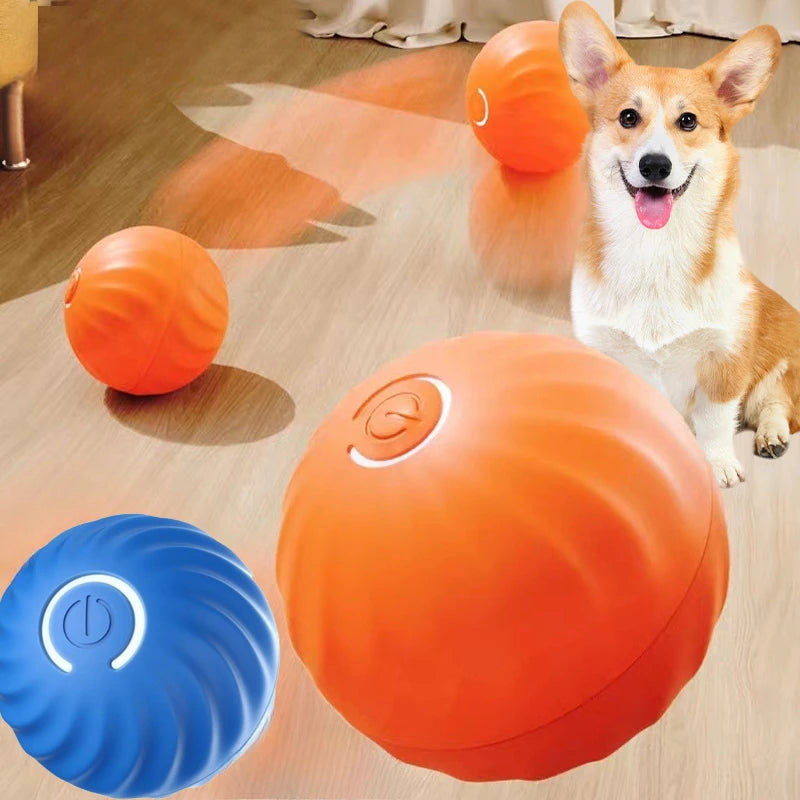 Pet Toy Ball