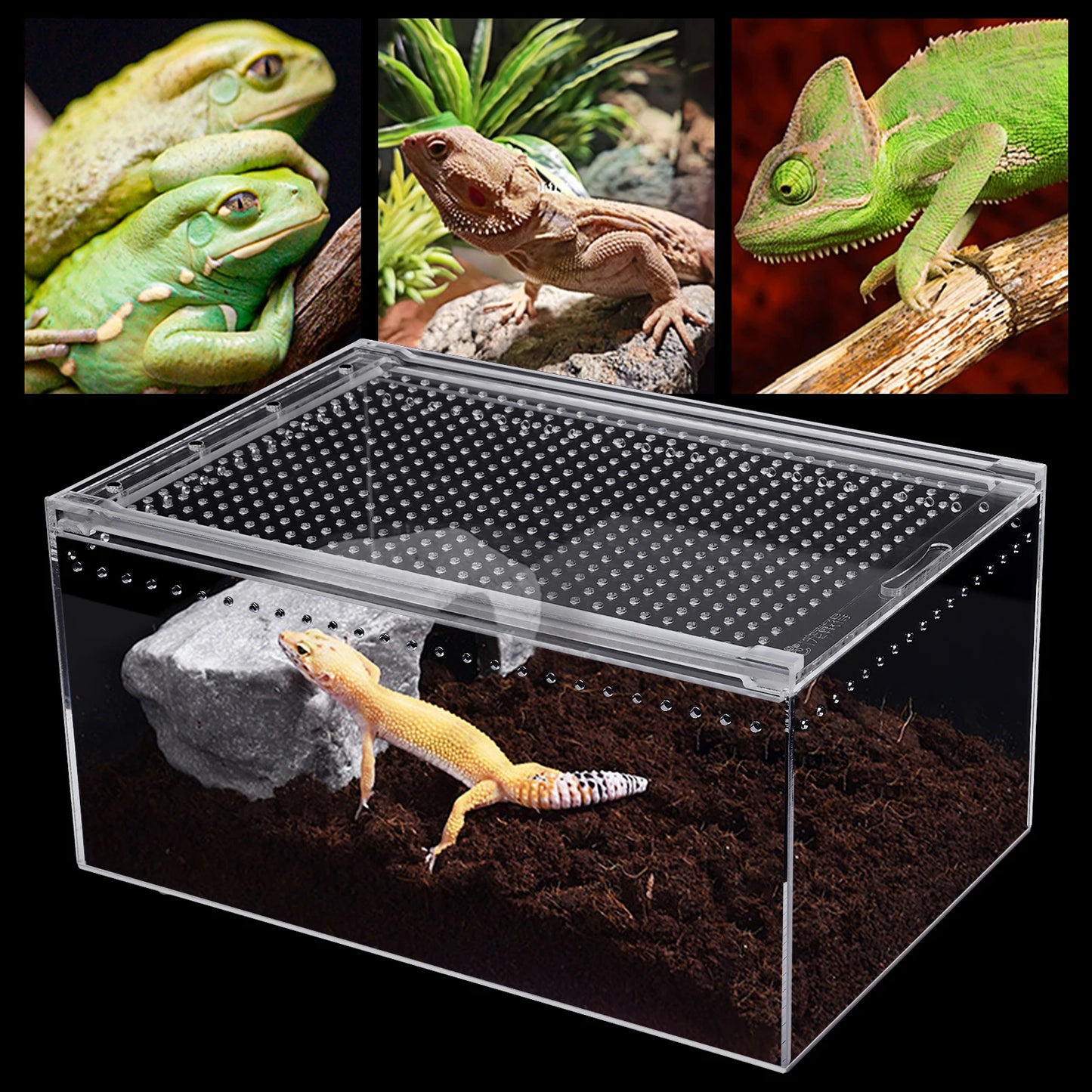 Reptile Pet Breeding Cage 30*20*15cm