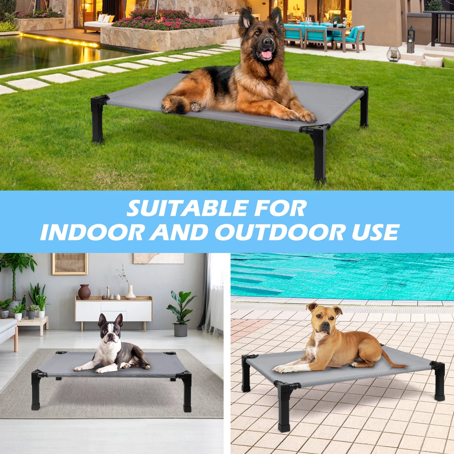 Elevated Dog Bed