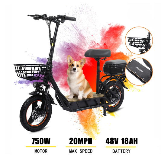 Electric Scooter with Seat