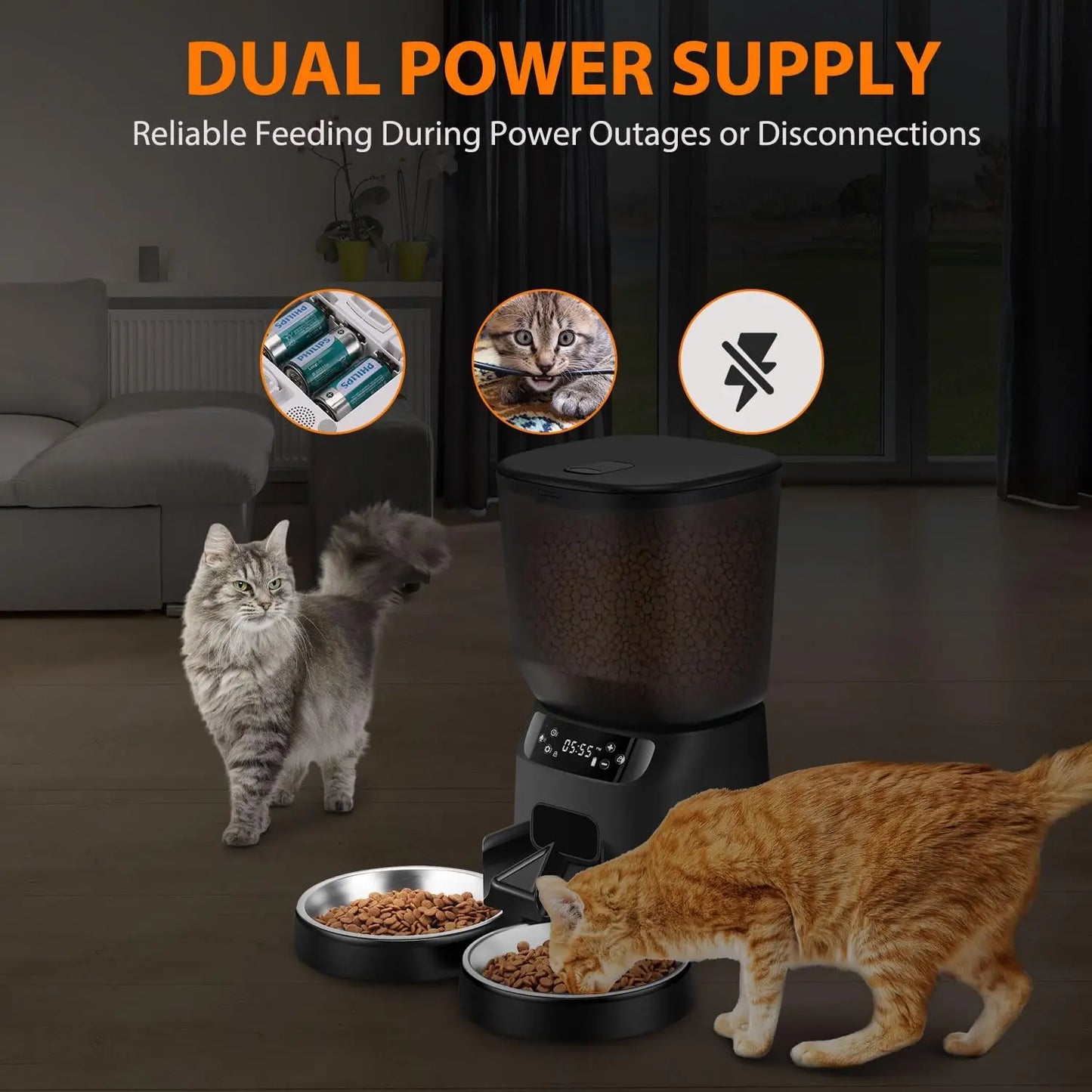 Automatic Pet Feeder for Two Cats