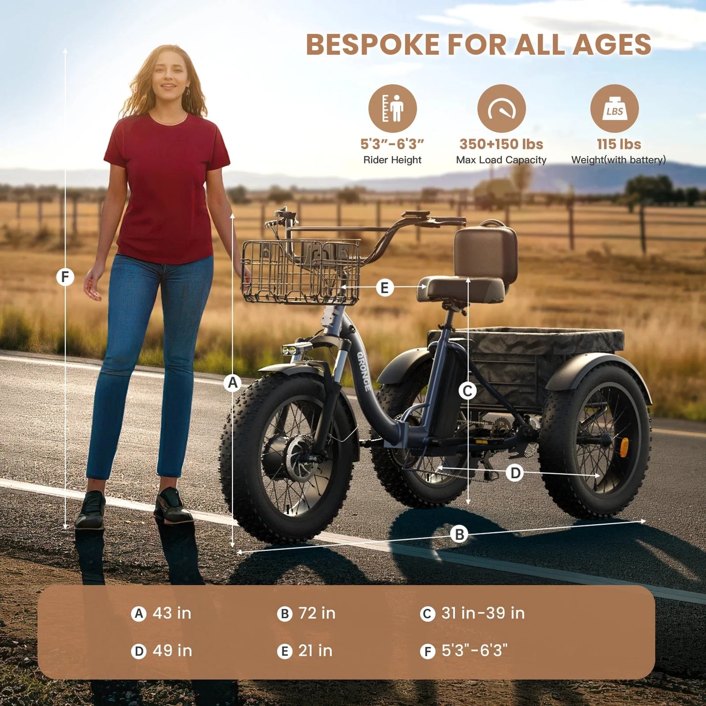 Electric Tricycle for Adults