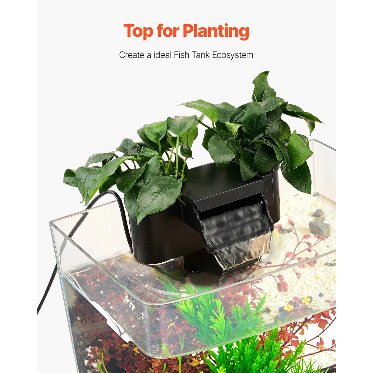 Fish Tank Aquarium Starter