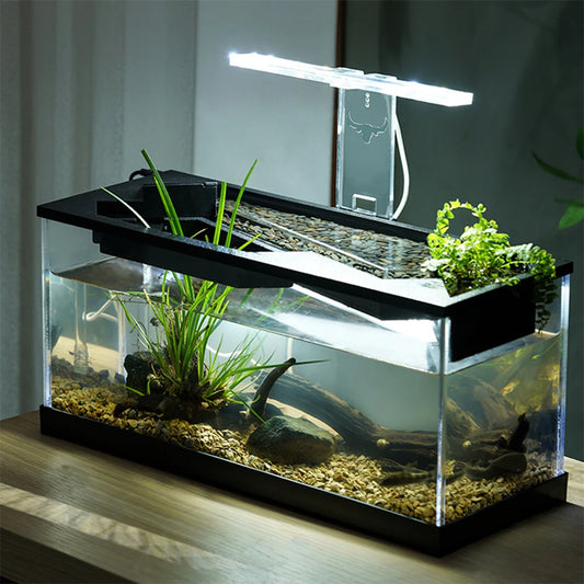 Desktop Fish Tank  for Small Fish