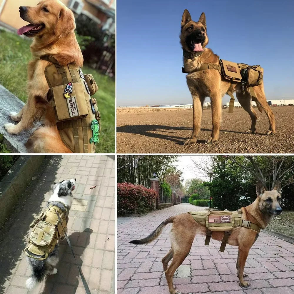 Patch Bundle For Dog Vest