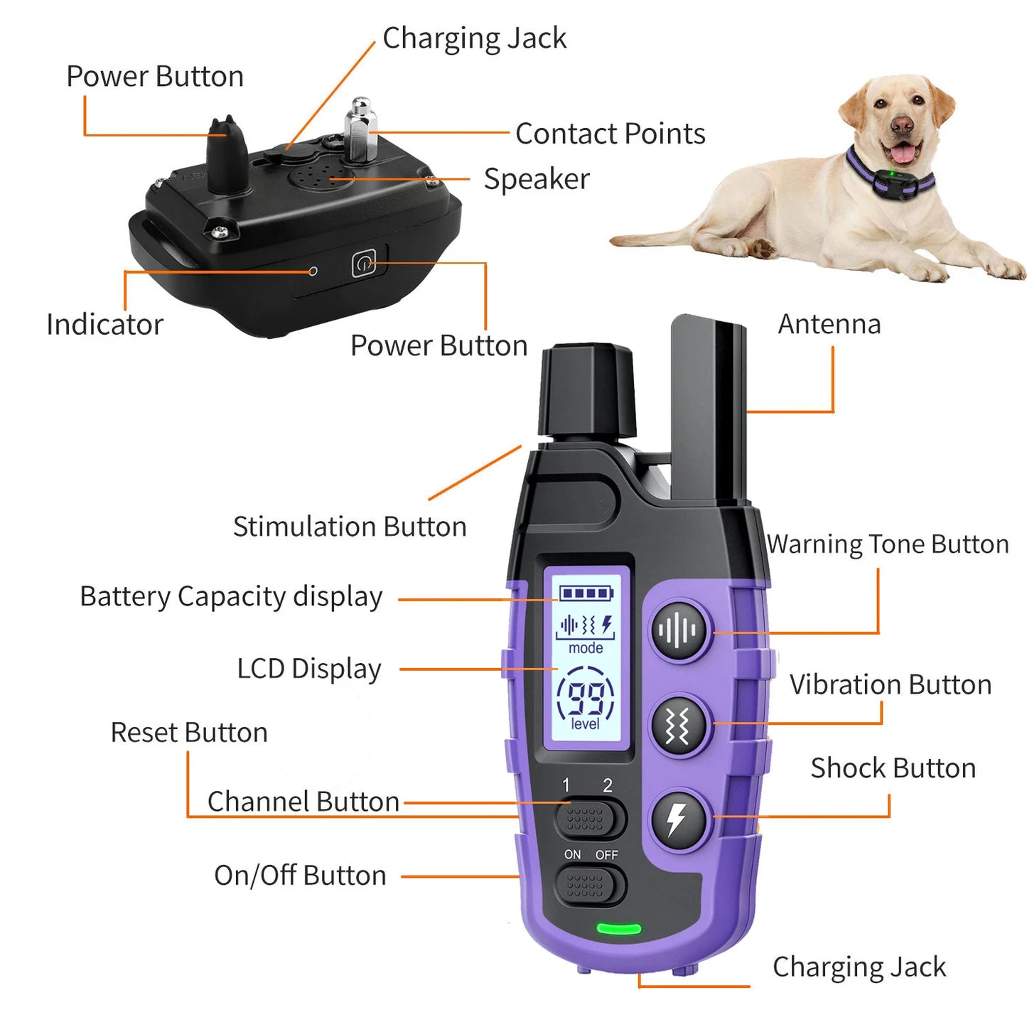 Dog Training Collar Remote Control