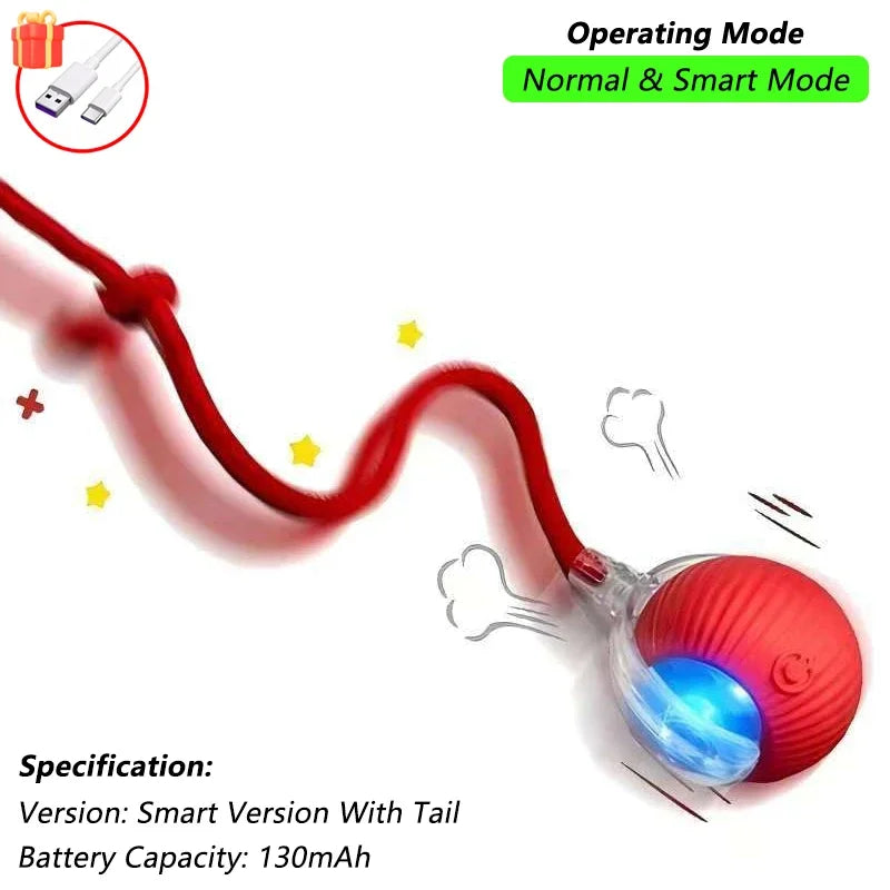 Indoor Interactive Birds Toy