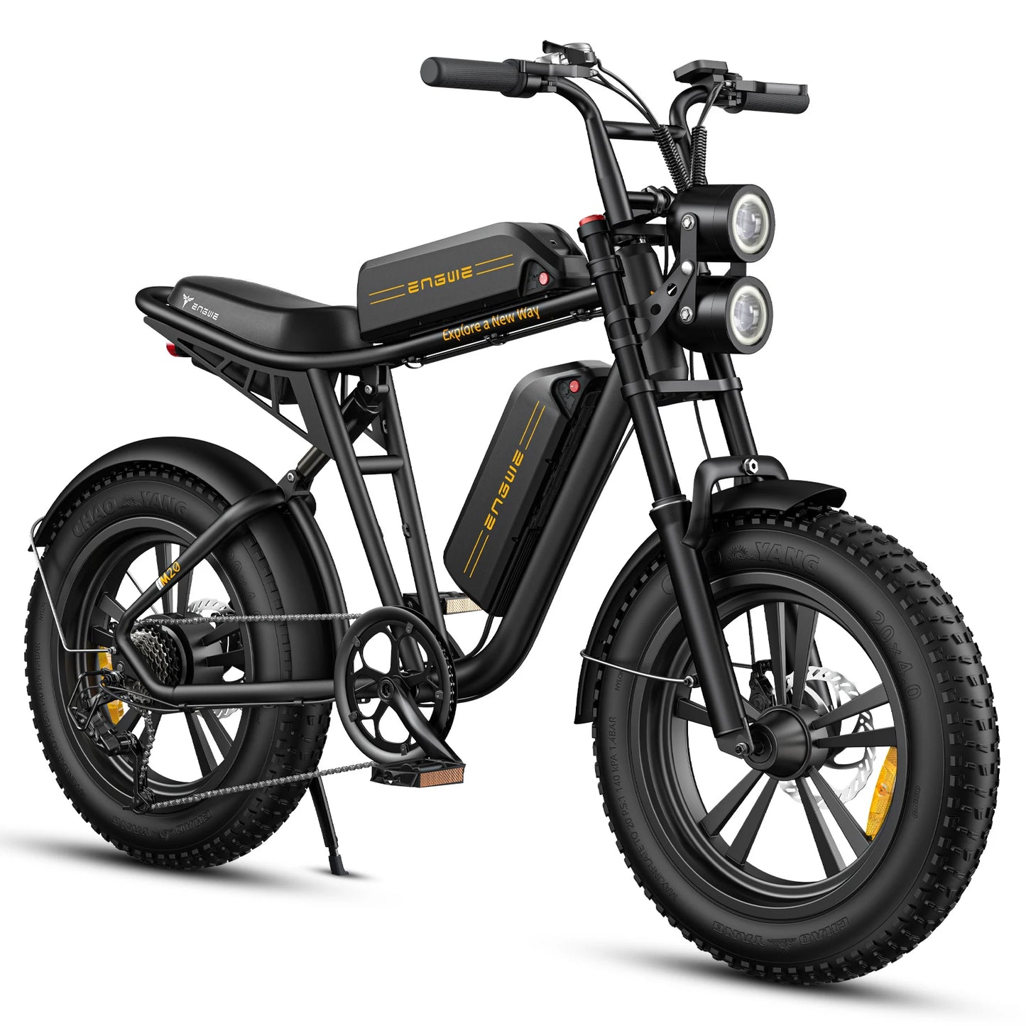 750W Electric Bike, Dual 48V 13Ah Batteries