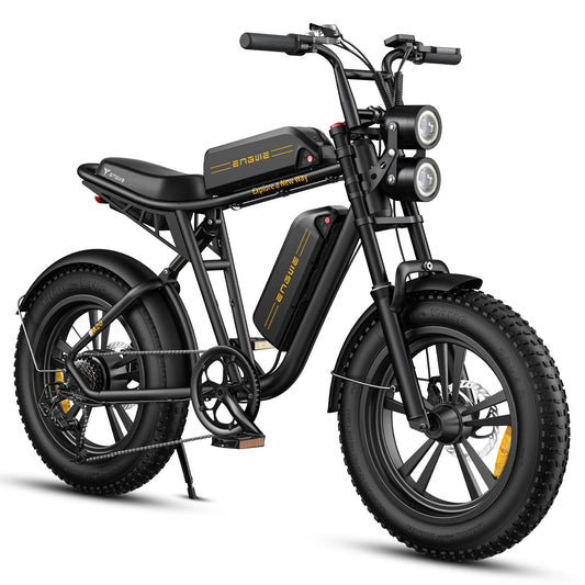 750W Electric Bike, Dual 48V 13Ah Batteries