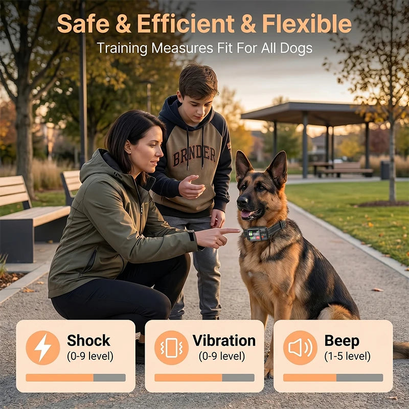 Dog Electronic Fence