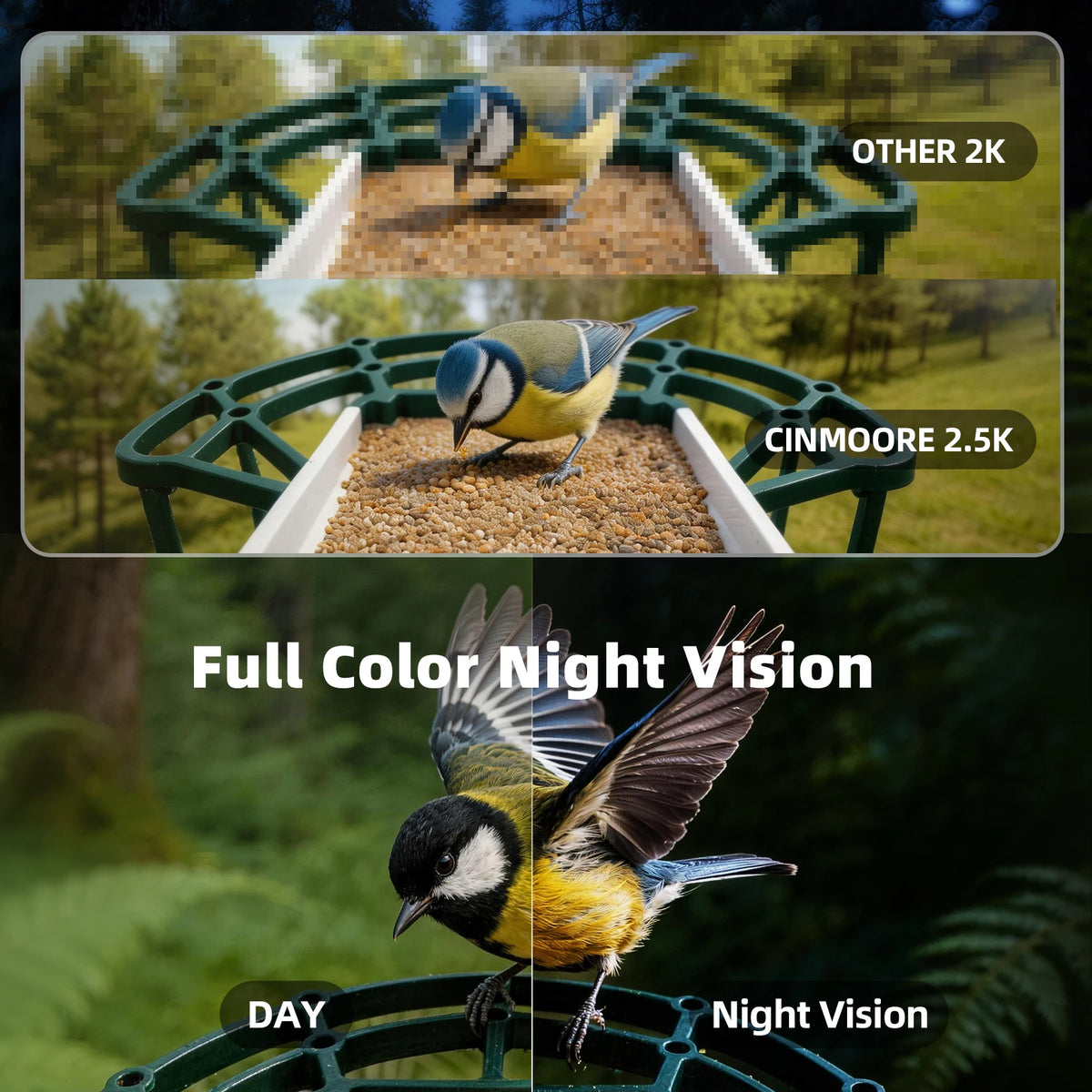 Solar Powered Bird Feeder with Camera