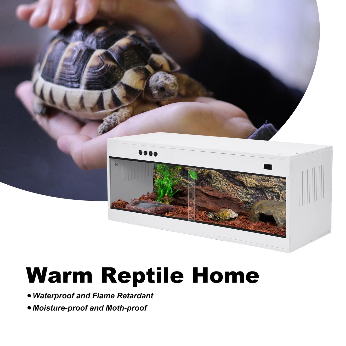 Reptile Terrarium