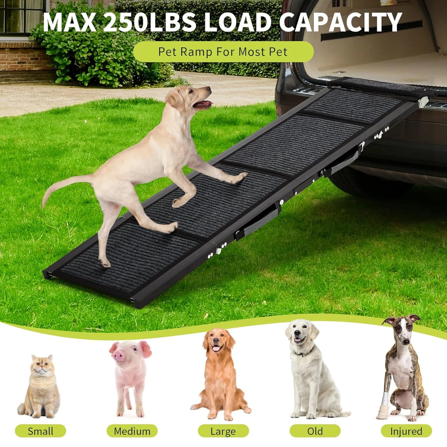 Car Dog Ramp Up to 250 LBS
