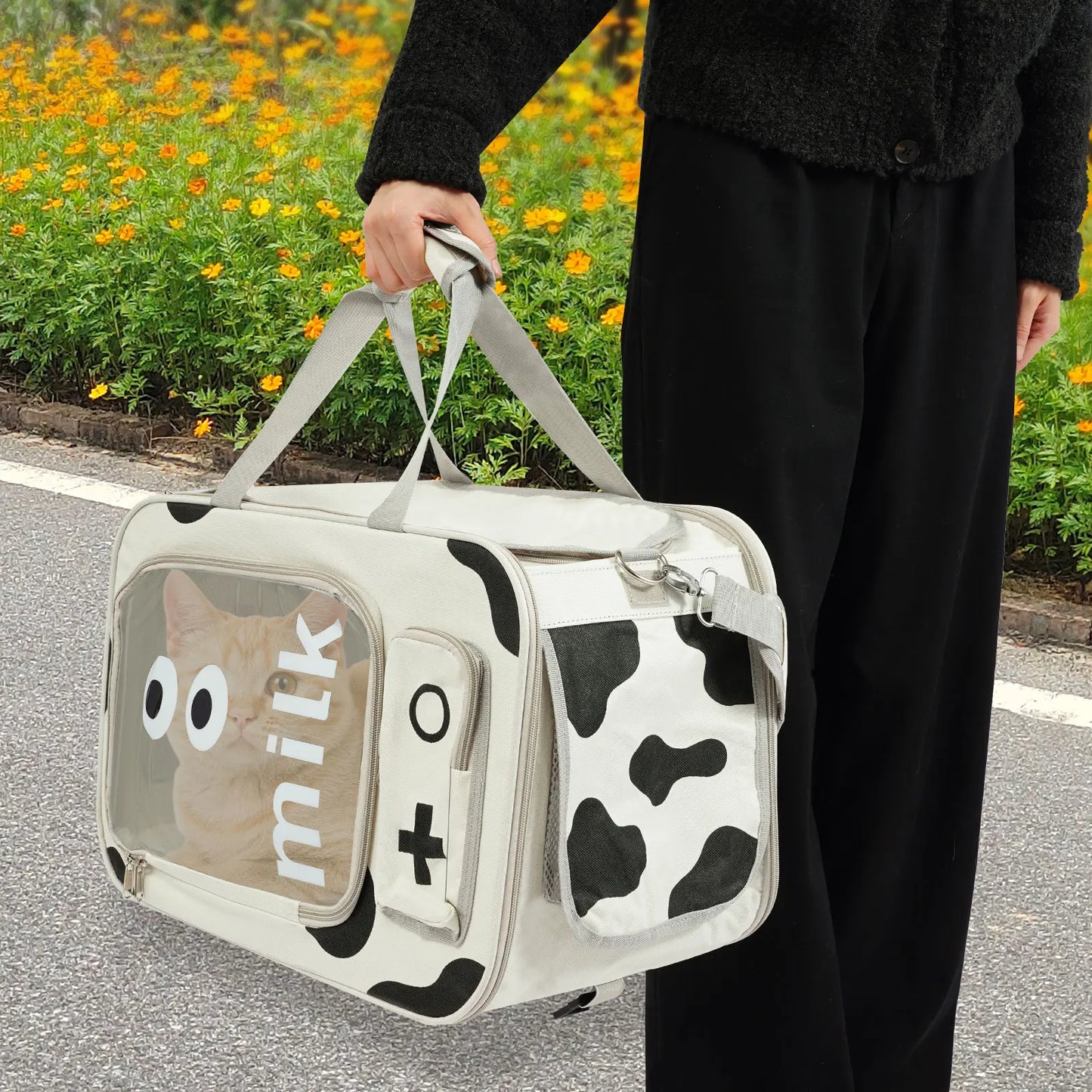 Trolley Case for carrying pets