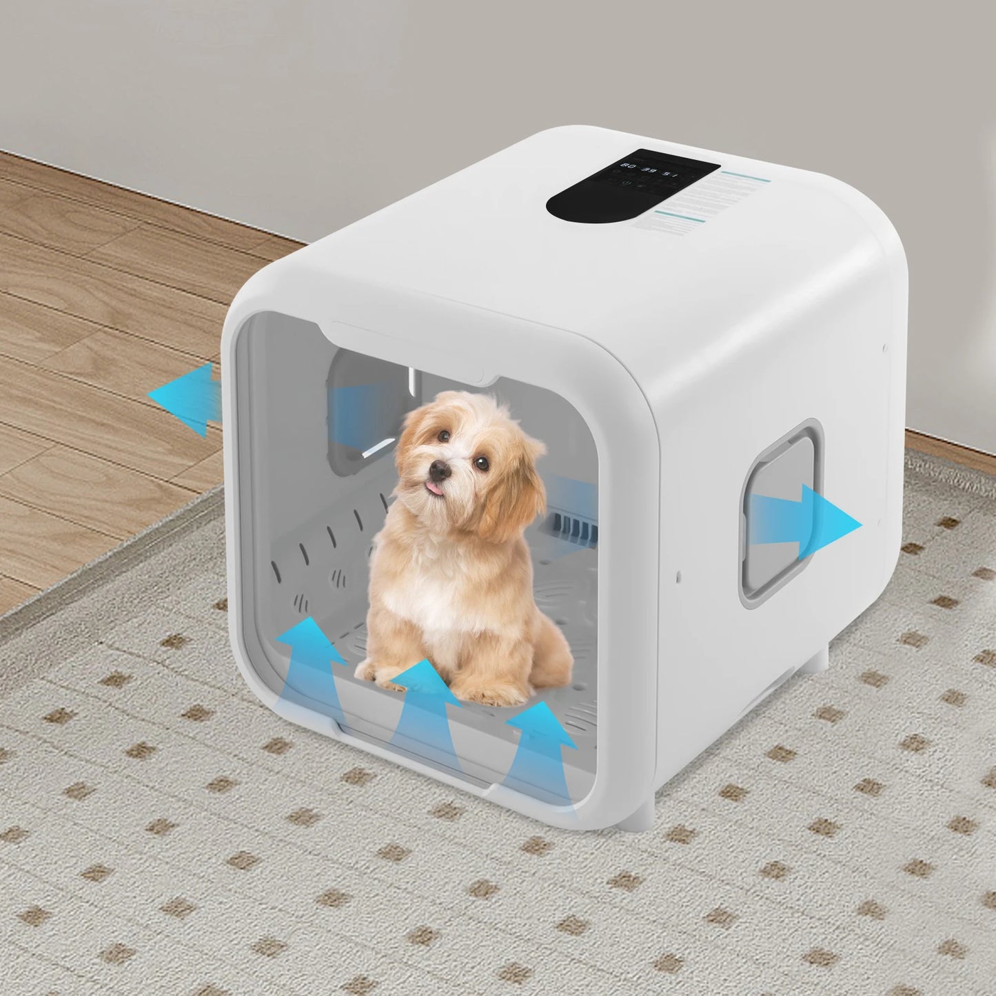 800W Pet Dryer Box