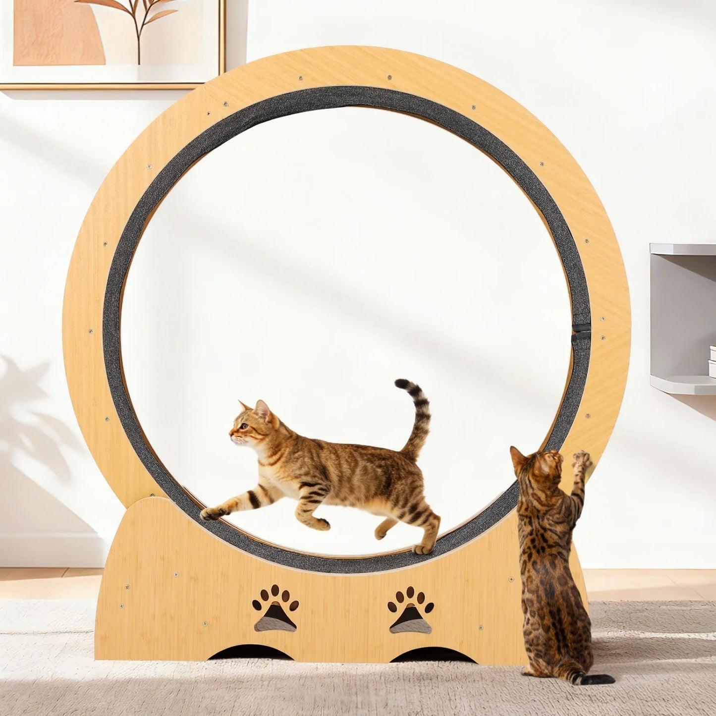 Wooden Cat Exercise Wheel