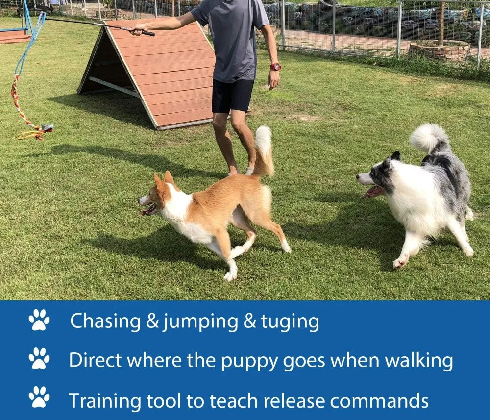 Interactive Flirt Pole Toy for Dogs