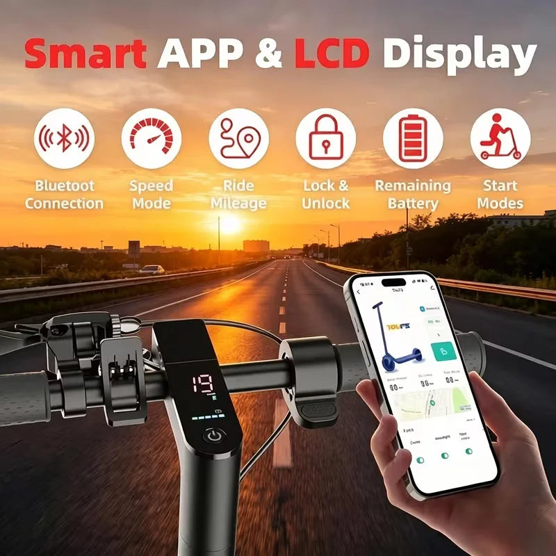 350W Electric Scooter for Adults